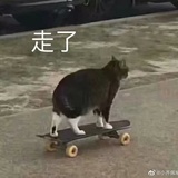一番(已上星)