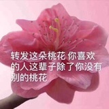 演员何昶希