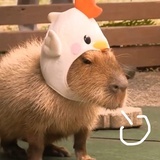 B.
