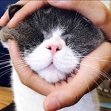 随想
