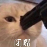 解说cat