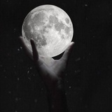 寥落的星辰