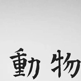 皮卡布布