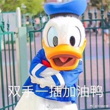 楞个麻烦。