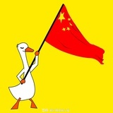 芦雁翎