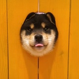 吃瓜打火机