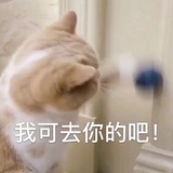 阳光辣橙味果珍
