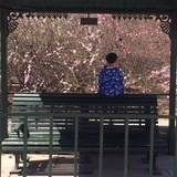 知初