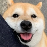 珍珠奶茶加冰哟