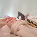 找房