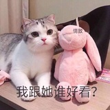 今天吃饺子啊