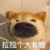 嘿哈