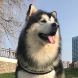 晚熟的人