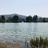 糯米团子