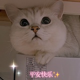 onibi