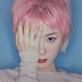 会发光的花花Max