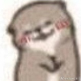 夏天到啦啦啦啦