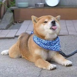 身后万家灯火
