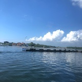 流殇曲水