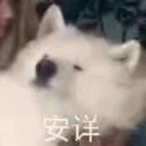 麻瓜