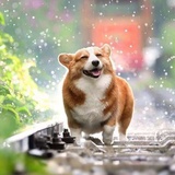 林空鹿饮溪