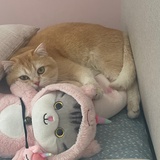 十三月🍥