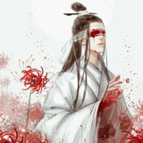 海带娘