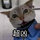 做梦飞上天