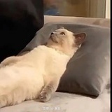 Haaanaaa