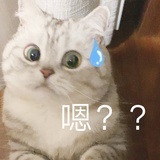 橘子味汽水🥤
