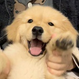 Hdhdjndbdbhssb