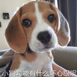 肚子饿