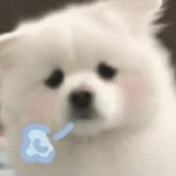 想不出名字