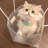 来罐可乐