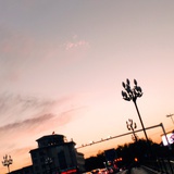 迟归