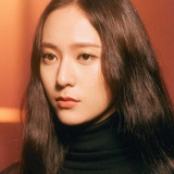夹子