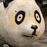 管 理 员