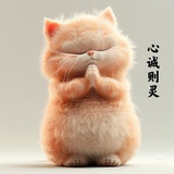 Joyo