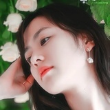 静静的小菇菜