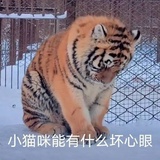罪恶王冠👑
