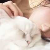 一个大美女罢了
