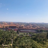 吴企鹅