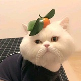 朵朵的朵朵是朵