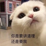 是美貌啊