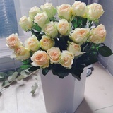 豆友186635465