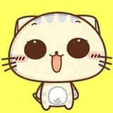 青青未来