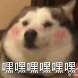 仿佛窗外飘满大