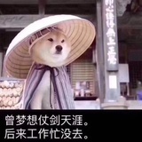一串葡萄🍇