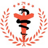 洲际曼巴