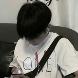 款冬